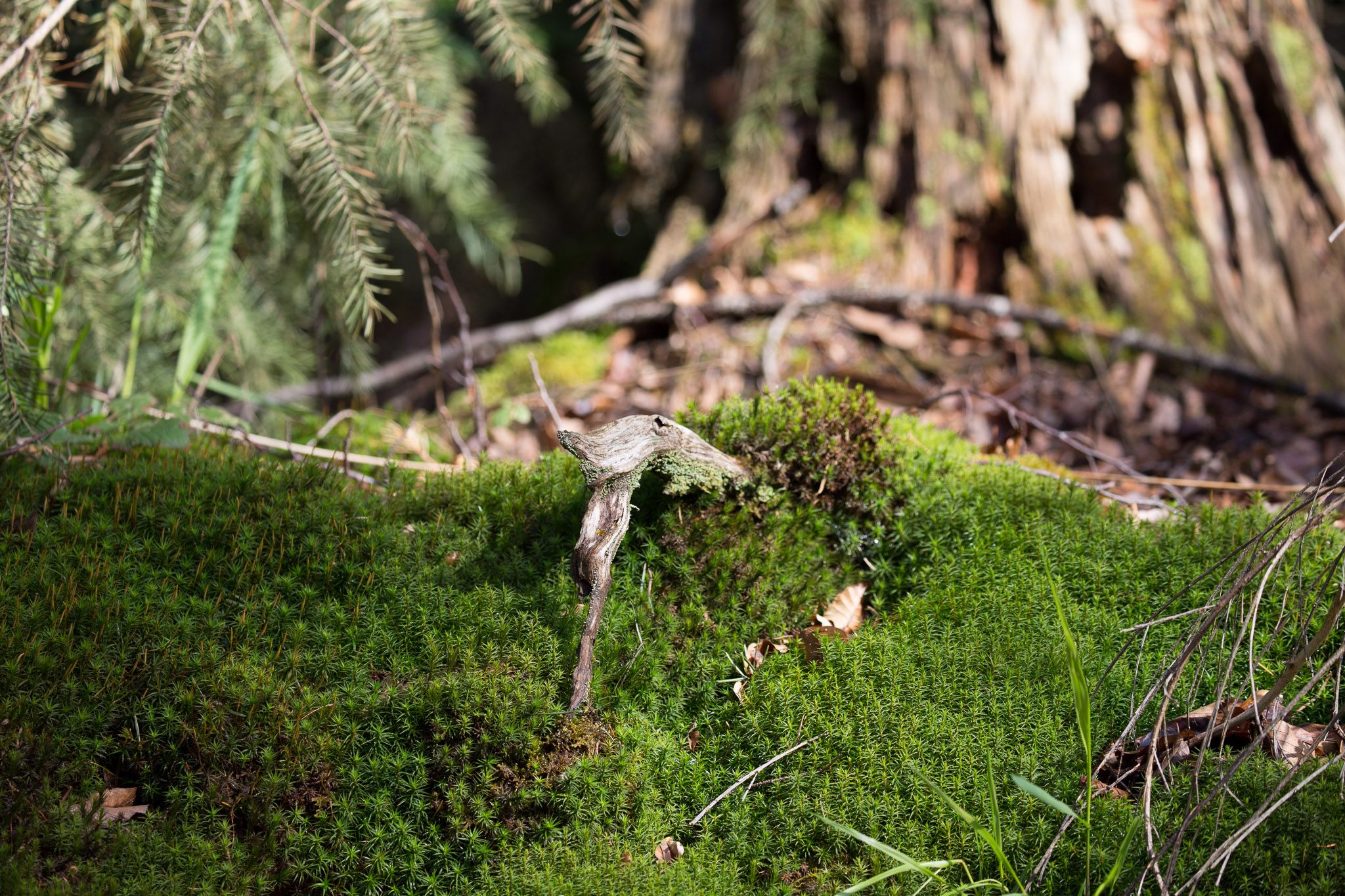 20220409152845 3K6A1936